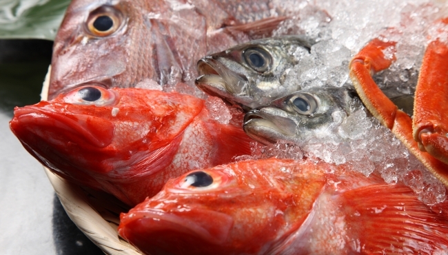 Menu gourmet a base di pesce per due persone (valido solo Ven, Sab e Dom, compreso il 2 Giugno)